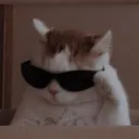 flayzinnofc