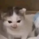 dhhxk_