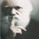 rouket__15157 avatar