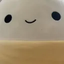 Squishmallow_<3's Discord avatar