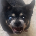 avatar 𝖓𝖊𝖗𝖊𝖎𝖎𝖙𝖆𝖆