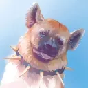 maj__