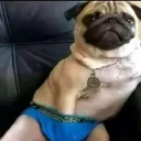 leopro_adm