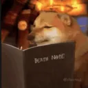 daetexiasai