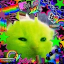 mysterious_parrot_24918 avatar