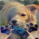 𝒯𝔦𝔩𝔩𝓎-𝓇𝑜𝓈𝑒's Discord avatar