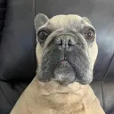 bubbatvofficial
