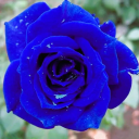 tact91#3280's avatar