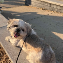 avatar ♪☆*★𝓑𝓾𝓫𝓫𝓵𝓮★*☆♪