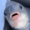 that_fishy_guy