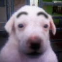 avatar 𝕊𝕃𝕆𝕎𝔻