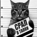 Аватар enigma17102009