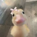 adeellaaa7312 avatar