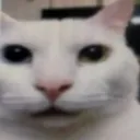 victor_peruamo avatar