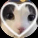 choobychooby553 avatar