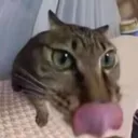 oiiaio114514