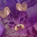 avatar ╰☆☆ ⓈţⒾ𝓪𝓷 ☆☆╮