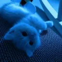 strix.labs