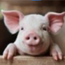 skidsyplays member profile picture