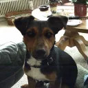 markjan0280