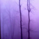 nebeltraumx#4144's avatar