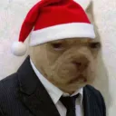 calzorenacido avatar