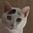 avatar MrMeowSigma