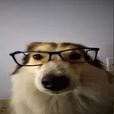 aadenixx