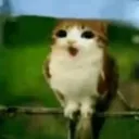 monkemankirby