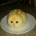 snyou_ member profile picture