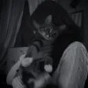 nightz3333_