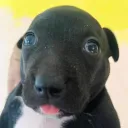 santiag0990352 avatar