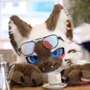 trapdeer
