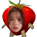 urz_jurnee