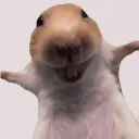 traycer_123_60773 avatar