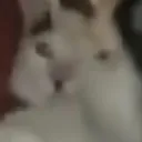 fivenightsatdiddys69. avatar