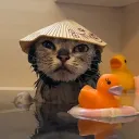 daepikflamingo
