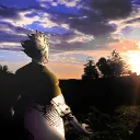 tortugainsana_79 avatar