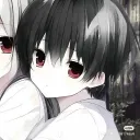 kn9d