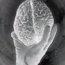 braincandle