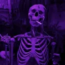 valiant_dove_58221 avatar