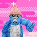 fuzzy.gtag