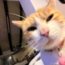 avatar 0000000000009