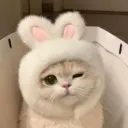 itsmahin24