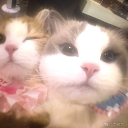 avatar ❝ Batman. ❞