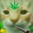 azamevrik