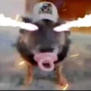 urielzm11_58730 avatar