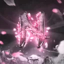 raccoonyy_yt