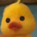 ente0216