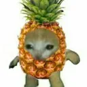 ananasananasowy avatar
